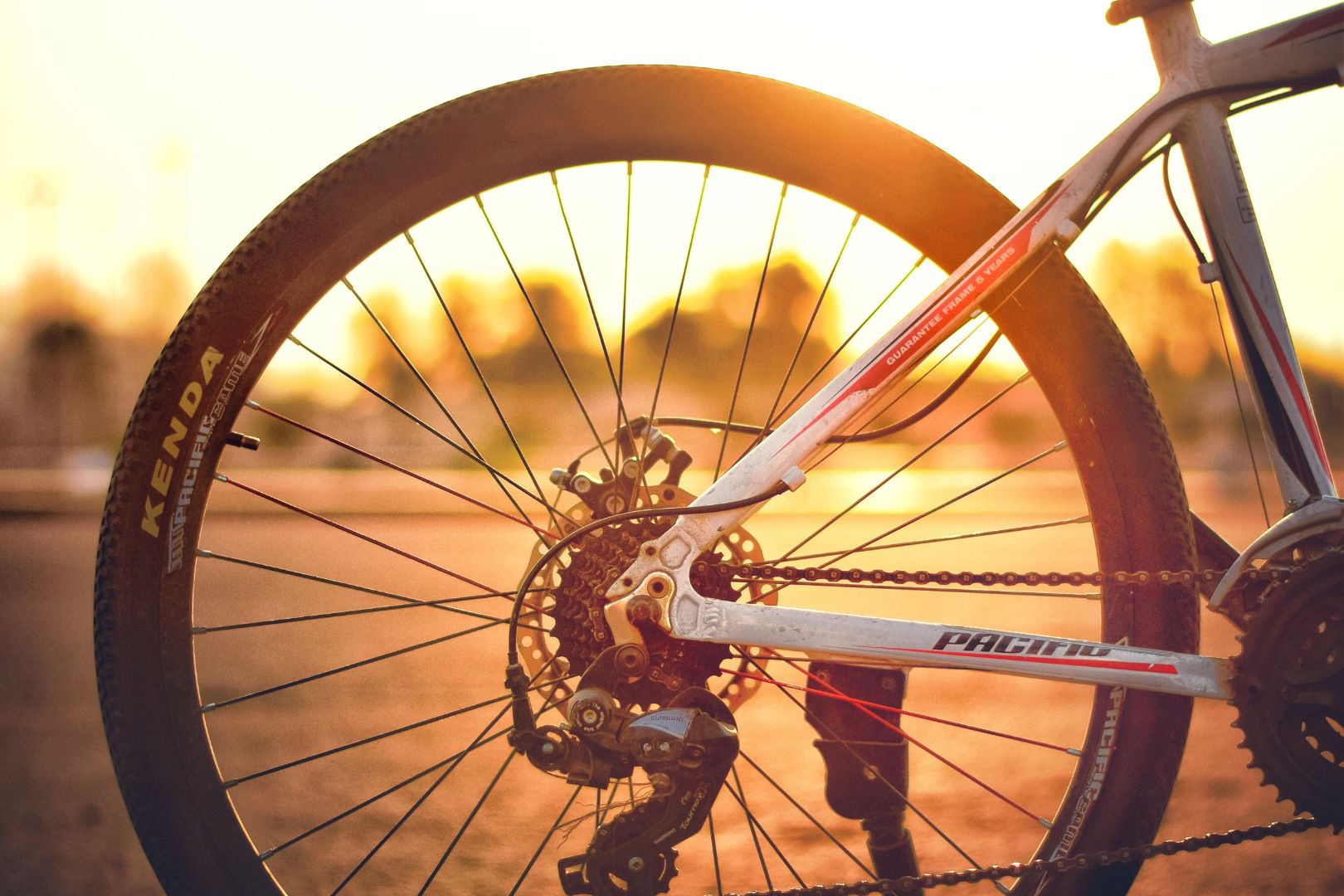 bicicleta ergometrica x bicicleta tradicional
