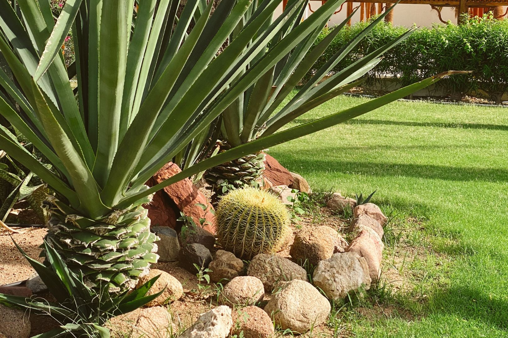 Como Combinar Grama Sintetica e Pedras